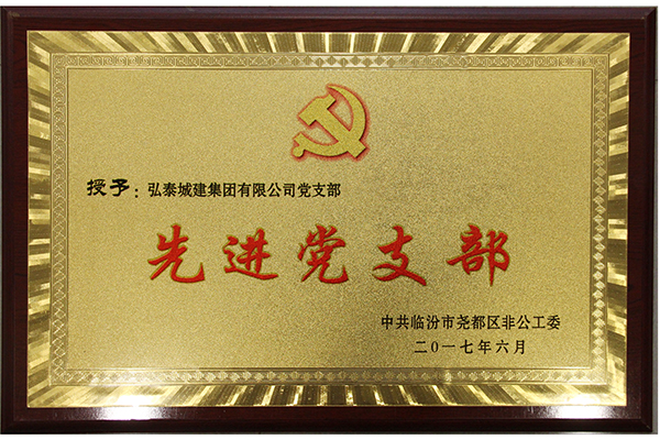 先进党支部